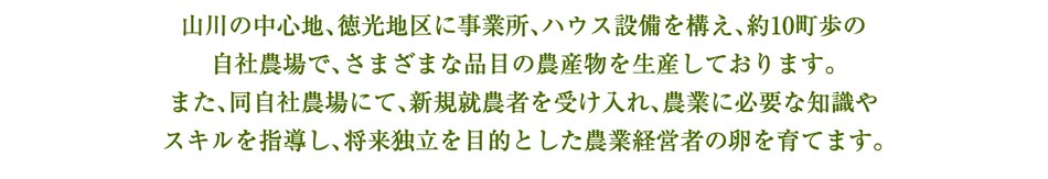 山川の中心地、徳光地区に事業所、ハウス設備を構え、約10町歩の自社農場で、さまざまな品目の農産物を生産しております。また、同自社農場にて、新規就農者を受け入れ、農業に必要な知識やスキルを指導し、将来独立を目的とした農業経営者の卵を育てます。