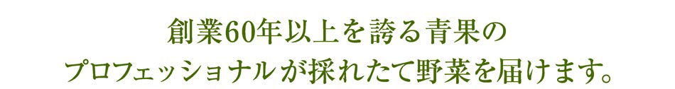 創業60年以上を誇る青果のプロフェッショナルが採れたての野菜を届けます。