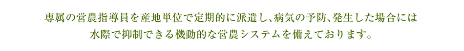 専属の営農指導員を産地単位で定期的に派遣し、病気の予防、発生した場合には水際で抑制できる機動的な営農システムを備えております。