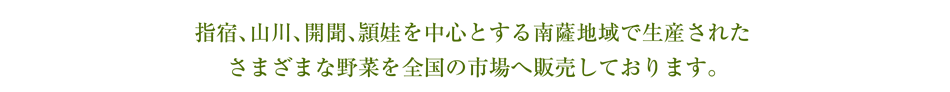 指宿、山川、開聞、頴娃を中心とする南薩地域で生産されたさまざまな野菜を全国の市場へ販売しております。