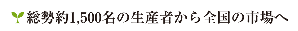 総勢約1,500名の生産者から全国の市場へ