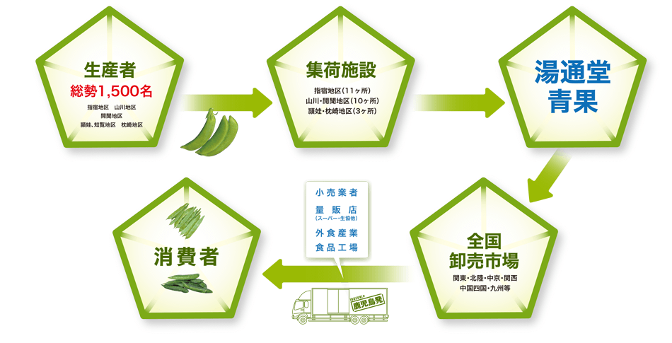 生産者→集荷施設→湯通堂青果→全国卸売市場→小売業者・量販店・外食産業・食品工場→消費者