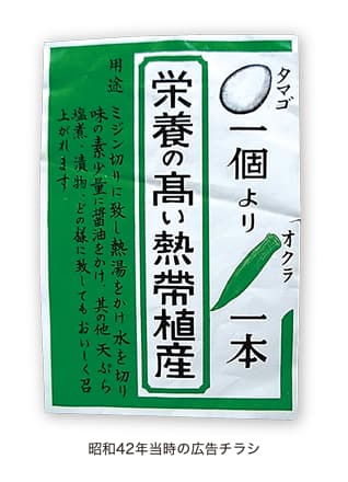 昭和42年当時の広告チラシ「タマゴ一個よりオクラ一本　栄養の高い熱帯植産　用途　ミジン切りにし熱湯をかけ水を切り味の素少々に醤油をかけ、其の他　天ぷら、塩煮、どの様にしてもおいしく召上れます」