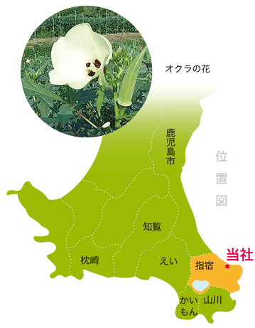 鹿児島県薩摩半島の地図　指宿市